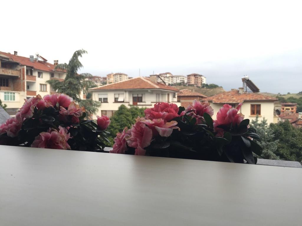 Bora Apartment Sandanski Rom bilde